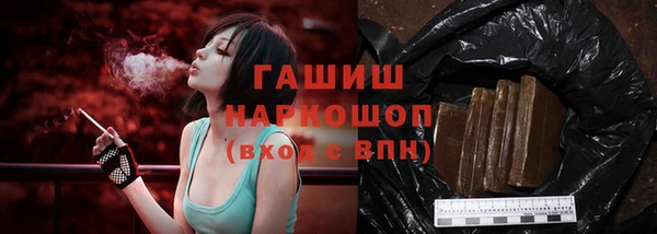 прущий лед Алзамай