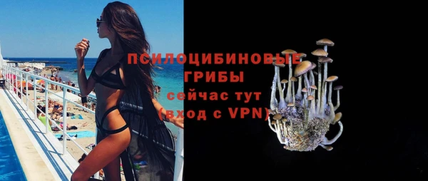 прущий лед Алзамай