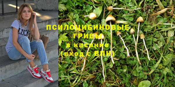 бошки Алексеевка