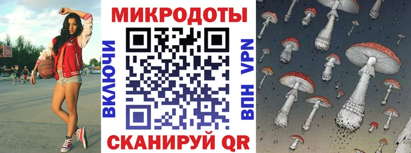 Псилоцибиновые грибы Psilocybine cubensis  blacksprut   Коркино  закладка 
